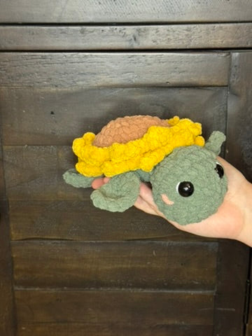 Sunflower Turtle