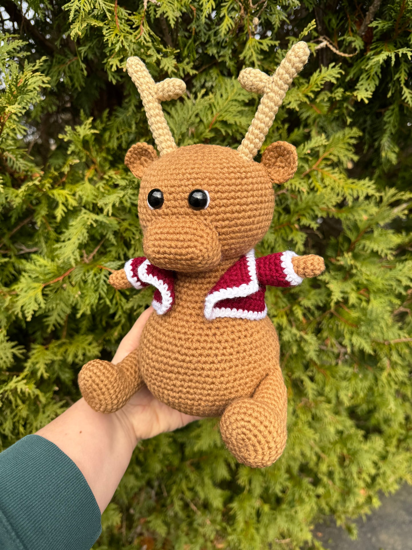 Marvin the Moose
