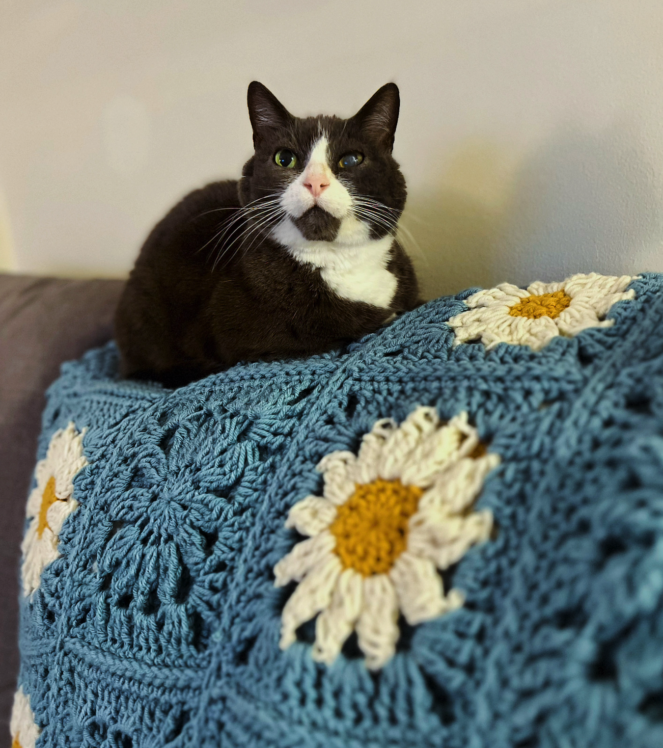 Crochet Daisy Square Blanket (Made to Order)