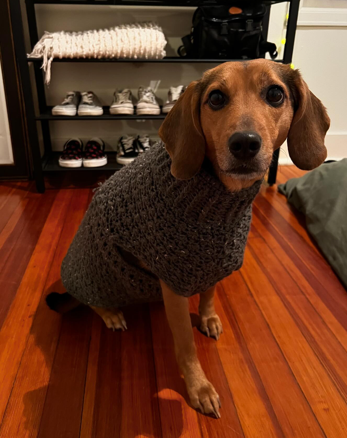 Dandy Dog Sweater (Made to Order)